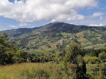 VENDO FINCA DE TRABAJO EN SAN CRISTÓBAL MEDELLÍN ANTIOQUIA COLOMBIA.