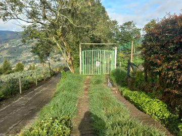 VENDO FINCA DE TRABAJO EN SAN CRISTÓBAL MEDELLÍN ANTIOQUIA COLOMBIA.