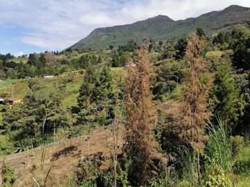 VENDO FINCA DE TRABAJO EN SAN CRISTÓBAL MEDELLÍN ANTIOQUIA COLOMBIA.