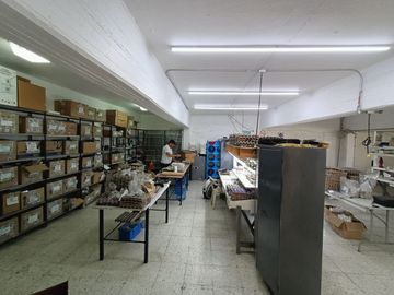 EDIFICIO 1,450M2  AV FEDERALISMO ZONA CENTRO