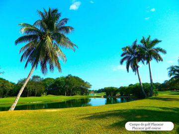 Departamento con casa club, 4 albercas, area para niños, Pet zone, gimnasio, casa club, restaurante, terraza bar, concierge y mas, Playa del Carmen