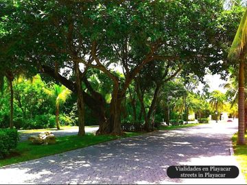 Departamento con casa club, 4 albercas, area para niños, Pet zone, gimnasio, casa club, restaurante, terraza bar, concierge y mas, Playa del Carmen