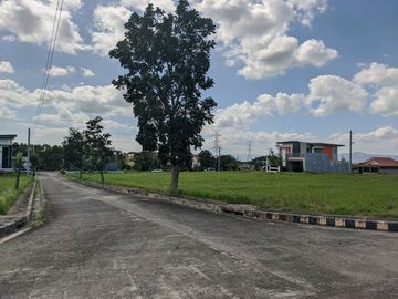 Affordable Premium Lot for Sale @ Cambridge Place Tanauan, Batangas: Where Your Dream Lot Awaits!