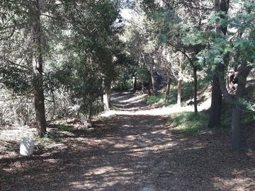 Venta de parcela de 15 Hec con casa y piscina en sector de Melosilla | Casablanca