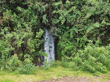 Venta Hacienda Imbabura Urcuquí 71.5 Has