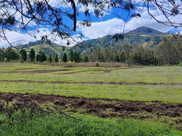 Venta Hacienda Imbabura Urcuquí 71.5 Has