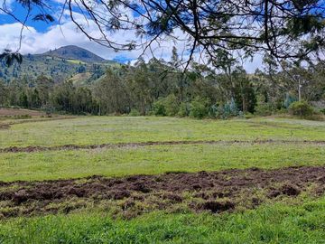 Venta Hacienda Imbabura Urcuquí 71.5 Has