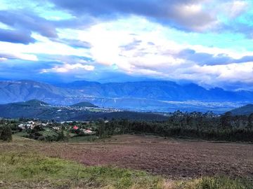 Venta Hacienda Imbabura Urcuquí 71.5 Has