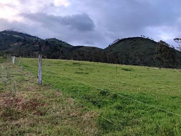 Venta Hacienda Imbabura Urcuquí 71.5 Has