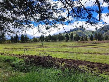 Venta Hacienda Imbabura Urcuquí 71.5 Has