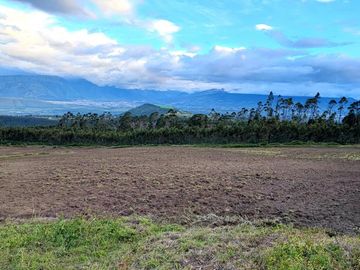 Venta Hacienda Imbabura Urcuquí 71.5 Has