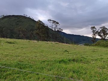 Venta Hacienda Imbabura Urcuquí 71.5 Has