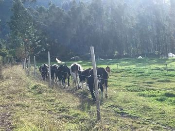 Venta Hacienda Imbabura Urcuquí 71.5 Has