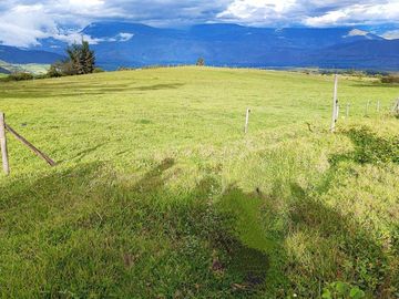 Venta Hacienda Imbabura Urcuquí 71.5 Has