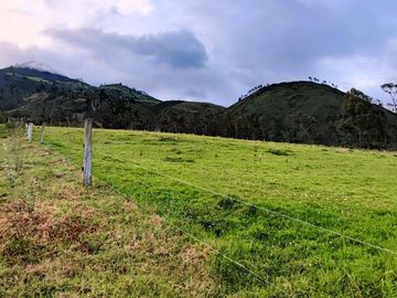 Venta Hacienda Imbabura Urcuquí 71.5 Has