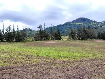 Venta Hacienda Imbabura Urcuquí 71.5 Has