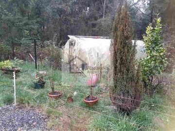EN VENTA LINDA PARCELA CON CASA EN VALDIVIA