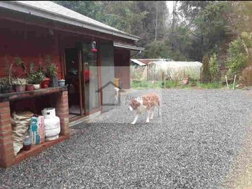 EN VENTA LINDA PARCELA CON CASA EN VALDIVIA