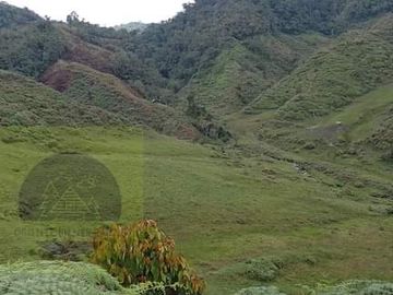 Venta Finca Productiva Concepción Antioquia