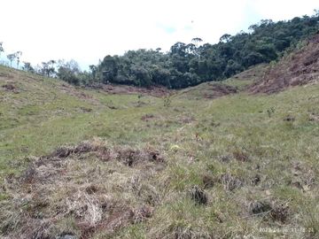 Venta Finca Productiva Concepción Antioquia