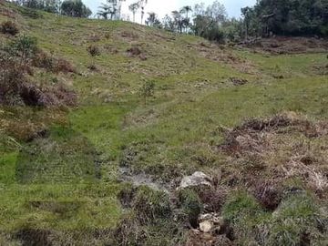Venta Finca Productiva Concepción Antioquia