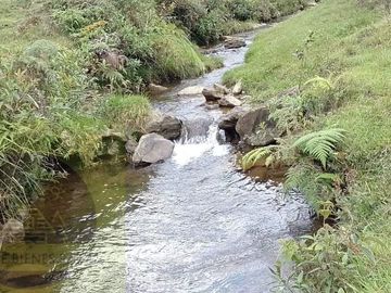 Venta Finca Productiva Concepción Antioquia