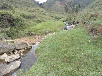 Venta Finca Productiva Concepción Antioquia