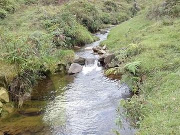 Venta Finca Productiva Concepción Antioquia