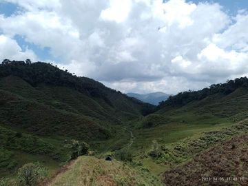 Venta Finca Productiva Concepción Antioquia
