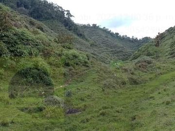 Venta Finca Productiva Concepción Antioquia