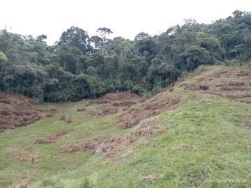 Venta Finca Productiva Concepción Antioquia