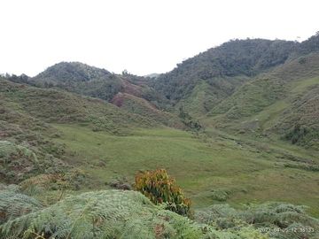 Venta Finca Productiva Concepción Antioquia