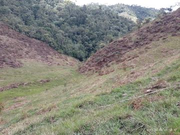 Venta Finca Productiva Concepción Antioquia