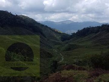 Venta Finca Productiva Concepción Antioquia