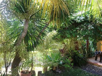 4BR Residential/Commercial Property for Sale in Doljo, Panglao Island, Bohol