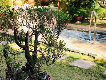 4BR Residential/Commercial Property for Sale in Doljo, Panglao Island, Bohol