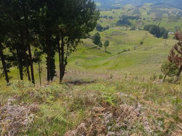 TERRENO EN VENTA SECTOR VICTORIA DEL PORTETE