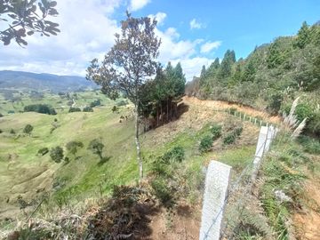 TERRENO EN VENTA SECTOR VICTORIA DEL PORTETE