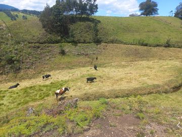 TERRENO EN VENTA SECTOR VICTORIA DEL PORTETE