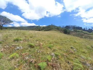 TERRENO EN VENTA SECTOR VICTORIA DEL PORTETE