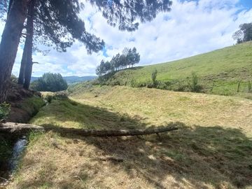 TERRENO EN VENTA SECTOR VICTORIA DEL PORTETE