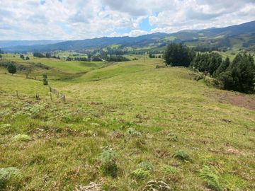 TERRENO EN VENTA SECTOR VICTORIA DEL PORTETE