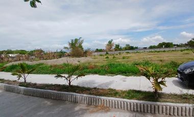 For Sale! 2,000 sqm Residential Lots in Brgy. Santa Cruz, Porac, Pampanga