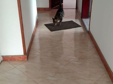 SE VENDE APARTAMENTO PENTHOUSE