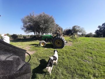 HUERTA DE CITRICOS EN VENTA EN CADEREYTA JIMENEZ NUEVO LEON, SAN JUAN LAS TRANCAS, EN PRODUCCION 90.3919 HAS, DE UN TOTAL DE 110 HAS O MÁS