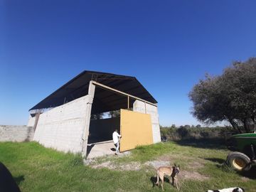 HUERTA DE CITRICOS EN VENTA EN CADEREYTA JIMENEZ NUEVO LEON, SAN JUAN LAS TRANCAS, EN PRODUCCION 90.3919 HAS, DE UN TOTAL DE 110 HAS O MÁS