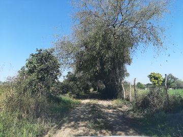 HUERTA DE CITRICOS EN VENTA EN CADEREYTA JIMENEZ NUEVO LEON, SAN JUAN LAS TRANCAS, EN PRODUCCION 90.3919 HAS, DE UN TOTAL DE 110 HAS O MÁS