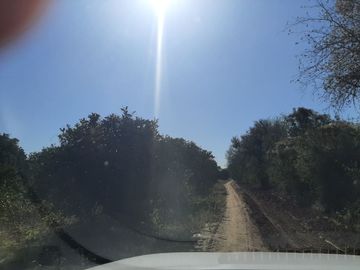 HUERTA DE CITRICOS EN VENTA EN CADEREYTA JIMENEZ NUEVO LEON, SAN JUAN LAS TRANCAS, EN PRODUCCION 90.3919 HAS, DE UN TOTAL DE 110 HAS O MÁS
