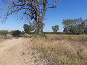 HUERTA DE CITRICOS EN VENTA EN CADEREYTA JIMENEZ NUEVO LEON, SAN JUAN LAS TRANCAS, EN PRODUCCION 90.3919 HAS, DE UN TOTAL DE 110 HAS O MÁS
