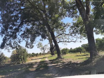HUERTA DE CITRICOS EN VENTA EN CADEREYTA JIMENEZ NUEVO LEON, SAN JUAN LAS TRANCAS, EN PRODUCCION 90.3919 HAS, DE UN TOTAL DE 110 HAS O MÁS